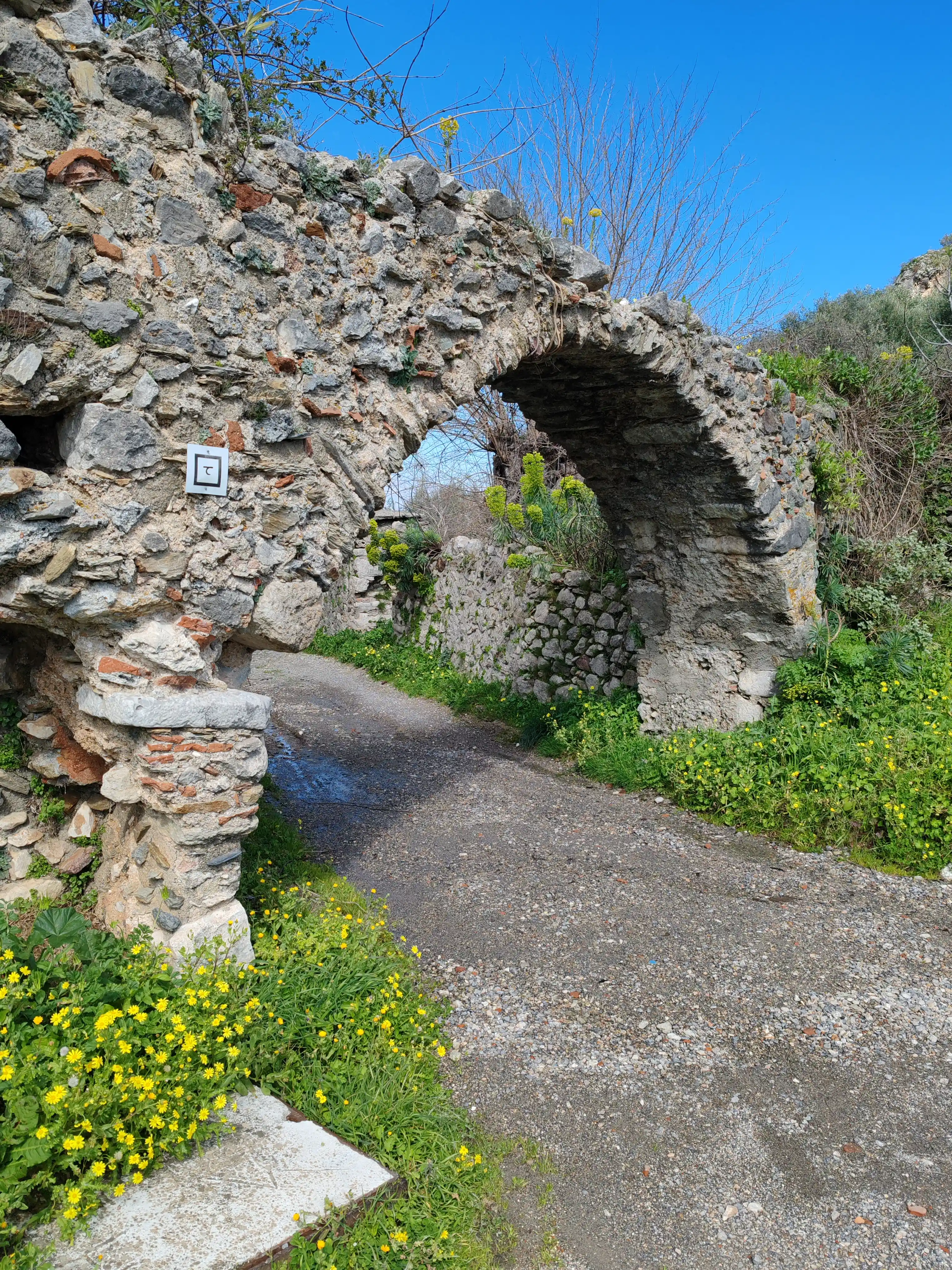 Φωτογραφία από εξόρμηση Navigators Greece